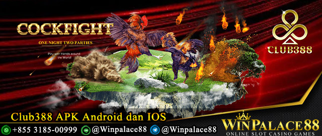 Club388 APK Android dan IOS