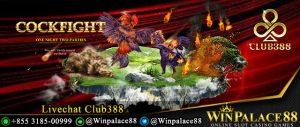 Livechat Club388