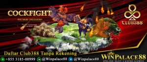 Daftar Club388 Tanpa Rekening