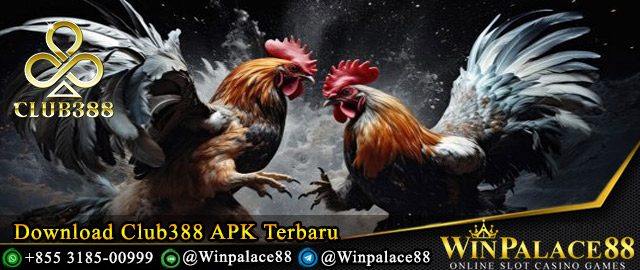 Download Club388 APK Terbaru